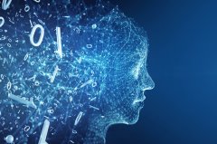 《纽约时报》是第一家告状这两家公做品版权的